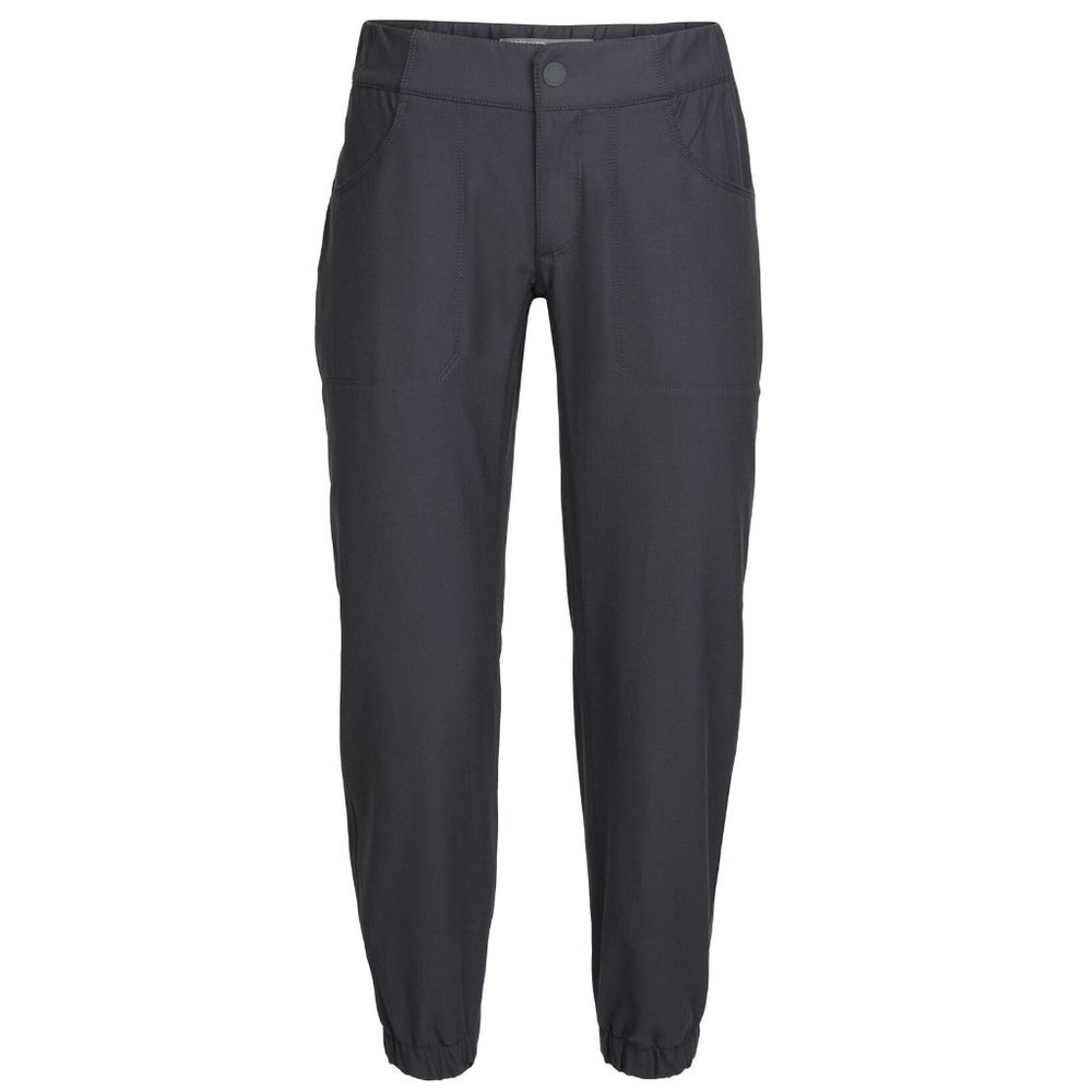 NWOT Women's Icebreaker Merino Connection Jogger Hiking Pants Size 14 / 32"